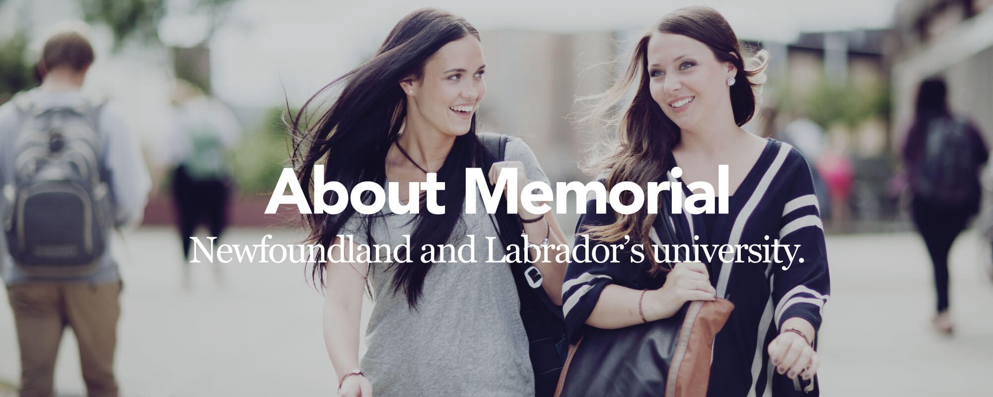 Newfoundland and Labrador's University Logo
